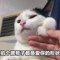 猫咪 手指 爱心 掐个腮帮子都是爱你的形状