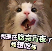 我想吃你 猫咪 伸舌头 可爱