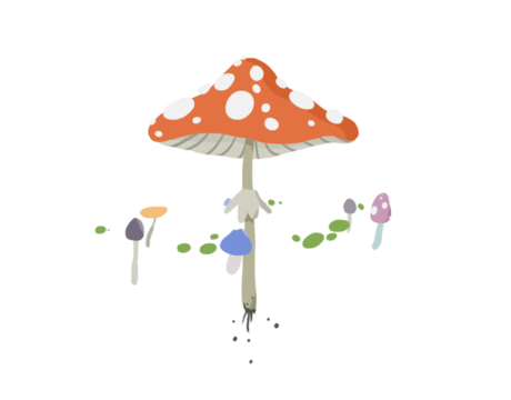 蘑菇 旋转 围绕 转圈圈