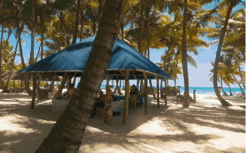 商店 多米尼加共和国 棚子 椰子树 海滩 纪录片 蓬塔卡纳 风景