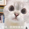 萌宠 猫星人 加油 吹得好像真的了 搞怪 逗