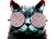 猫咪 眼睛 眩晕 搞笑