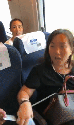 高铁霸座女图片_高铁霸座女动态图_高铁霸座女表情包gif动图下载_soo