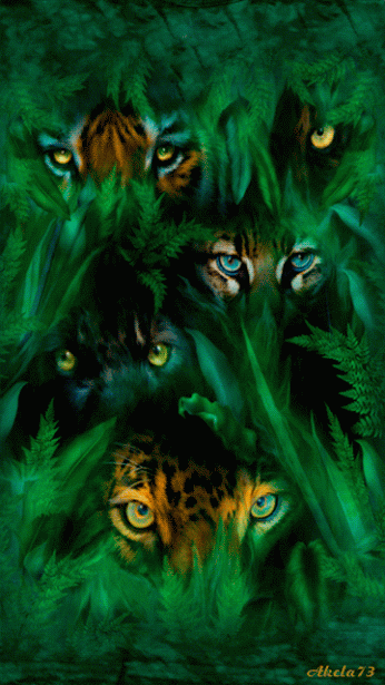 老虎 深林 眼睛 吓人