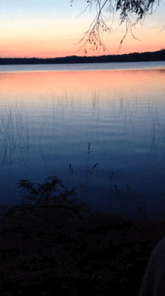 日出 平静 波澜 威斯康辛州 湖泊