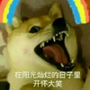 狗狗 尖牙 在阳光灿烂的 日子里开怀大笑