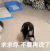萌宠 汪星人 求求你 不要再说了 拒绝 搞怪 呆萌