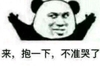熊猫头 抱一下 不准哭了 斗图 搞笑 张开双手
