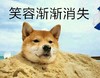狗狗 沙子 埋起来 笑容渐渐消失