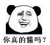 暴漫 文字表情包 你真的懂吗 搞笑 逗 沙雕