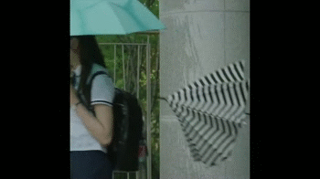 金所炫 学校2015 打伞 下雨