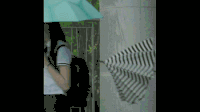 金所炫 学校2015 打伞 下雨