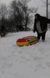胖女人 狗狗 雪地 摔跤