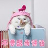 萌宠 猫星人 不要和我讲话 生气 呆萌 可爱