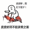 皮皮虾我们走 你的皮皮虾 皮皮虾