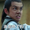 吴磊 琅琊榜 飞流 真是日了狗了
