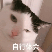 沙雕猫 猫咪 猫 可爱猫 猫表情包 猫咪表情包 小猫