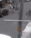 狗狗 摩托车 马路 可爱