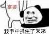 熊猫头 文字表情包 富婆 我手中抓住了未来 搞笑 沙雕 搞怪