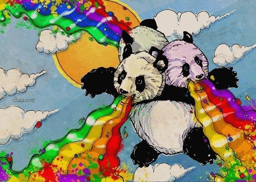 熊猫 恶搞 彩虹 欢乐
