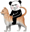 暴漫 熊猫头 骑动物 猫咪 搞怪 逗
