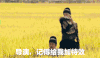 极限挑战 孙红雷 搞笑