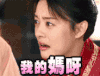 芈月传 芈月 孙俪 我的妈呀 表情包 惊