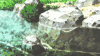 流水 石头 清澈
