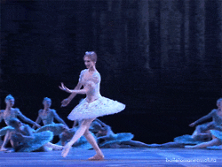 芭蕾舞   芭蕾舞剧  《天鹅湖》,芭蕾舞蹈
