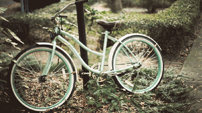 自行车 微风 吹动 青草