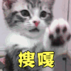 搜嘎