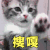搜嘎