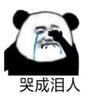 暴漫 文字表情包 哭成泪人 搞笑 逗 沙雕