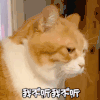 萌宠 喵星人 我不听 摇头 呆萌 可爱