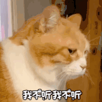萌宠 喵星人 我不听 摇头 呆萌 可爱