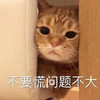 萌宠 猫星人 不要慌 问题不大 搞怪 逗
