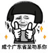 暴漫 文字表情包 成个广东省至肋系你 搞笑 逗 魔性