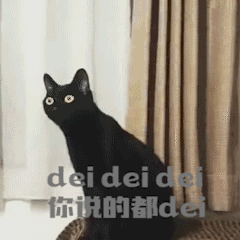 黑猫 魔性黑猫 沙雕黑猫 猫咪 猫