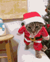 搞笑 喵星人 猫咪 萌宠 猫