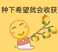 酸柠檬 我酸了 柠檬