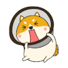 狗狗 脖套 难受 挣扎