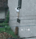 搞笑 奇葩 疼痛