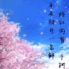 樱花烂漫