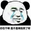 暴漫 文字表情包 你在干嘛是不是嫌我烦了呀 搞怪 逗 沙雕