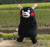 熊本熊 跳舞 可爱 搞笑