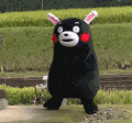 熊本熊 跳舞 可爱 搞笑