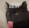 萌宠 喵星人 舔屏 爱了 搞怪 逗
