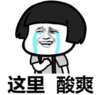 暴漫 文字表情包 这里酸爽 搞笑 逗 沙雕