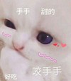 萌宠 猫星人 咬咬手 好吃 呆萌 可爱