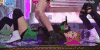 朴彩英 金智秀 美女 演出 迷人